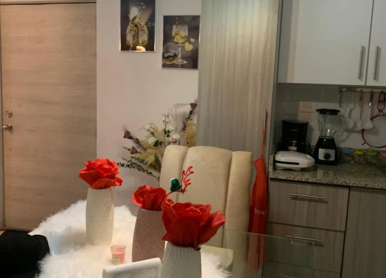 Comodo Y Acogedor Santo Domingo Apartment